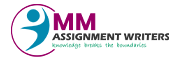 mm assignment writers